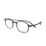 Brown / Tortoise