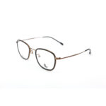 Brown / Tortoise