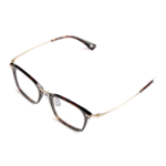 Brown / Tortoise 2