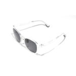 Silver / White