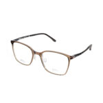 Brown / Tortoise
